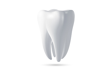 歯の重要な役割をご存知ですか？