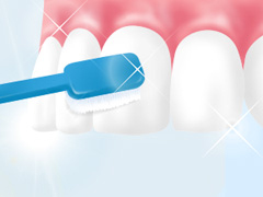 歯周病予防に有効な歯みがき指導をいたします